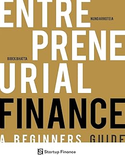 Entrepreneurial Finance: A Beginners Guide (Technopreneurship) (English Edition)
