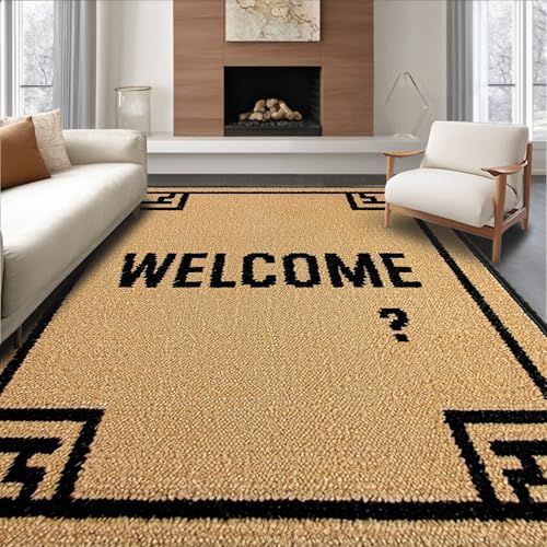 ODIKA Flatwoven High Traffic Area Rug 5x7, Sassy Visitor Question