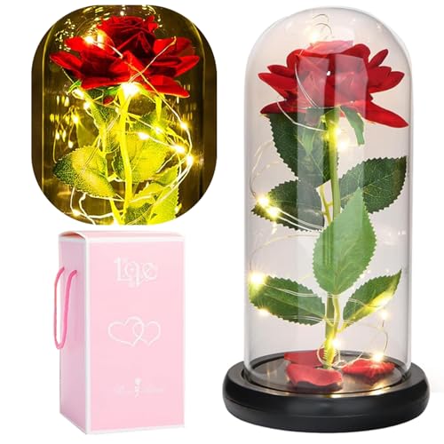 VJJB Beauty and The Beast Rose in Glass Dome, Preserved Rose Enchanted Red Silk Rose Flowers with Colorful LED Light in Glass Dome, Birthday Gift for Mom, Wife, Girlfriend
