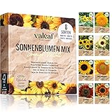 🌻 IDEAL FÜR GARTEN UND BALKON - die Sonnenblumen Pflanzensamen lassen sich wunderbar im Blumenbeet im Garten oder in Töpfen auf dem Balkon aussäen!