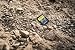Sony SF-M512T Tough 512GB SDXC Speicherkarte UHS-II, V60, Class 10, bis zu 277MB/s Lesen, 150MB/s Schreiben – extrem robust, IP68, stoß- & wasserfest
