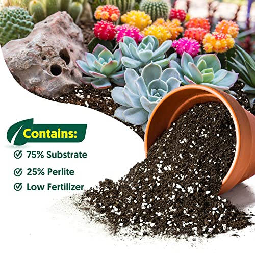 Sprout N Green Organic Potting Mix For Succulents Cactus, 2 Quarts Indoor Plants Soil, For Bonsai, Flowers, Vegetables, Herbs, Orchid, Premixed House Garden Grow Soil Blend Special Formulated #TOP1