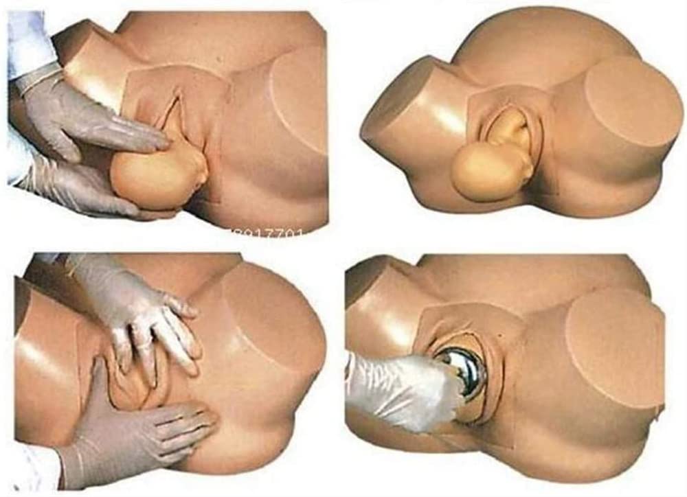 Modèle Éducatif D'anatomie, Modèle De Démonstration De L'accouchement Féminin, Simulateur D'accouchement pour Modèle Anatomique D'enseignement De Gynécologie Médicale, Matériel Didactique Standard
