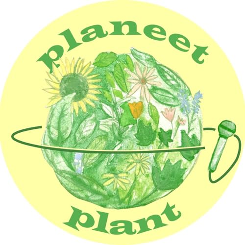 『Planeet Plant』のカバーアート