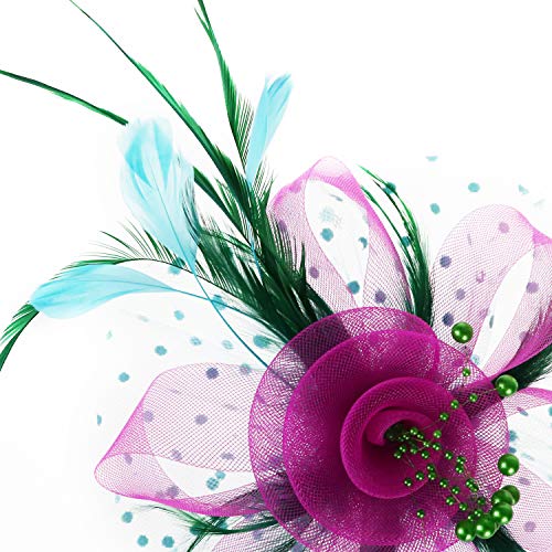 Image of DRESHOW Fascinators Hat Flower Mesh Ribbons Feathers on a Headband and a Clip Tea Party Headwear for Girls and Women