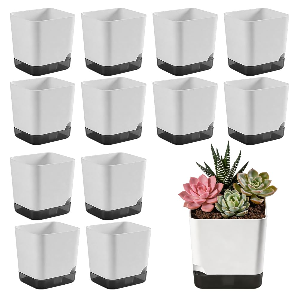 Wxeadu 12 Pcs Small Plant Pots, 7.8cm Plastic Herb Pot, Plastic Plant Pots with Drainage Hole and Tray, Flower Planter Pots for Vegetables, Flowers, Succulent, Cactus
