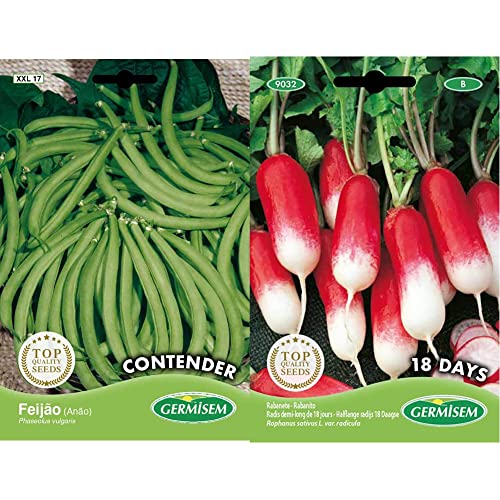 Germisem Contender Graines de Haricots Français 100 g XXL 17 Multicolore & 18 Days Graines de Radis 10 g EC9032 Multicolore