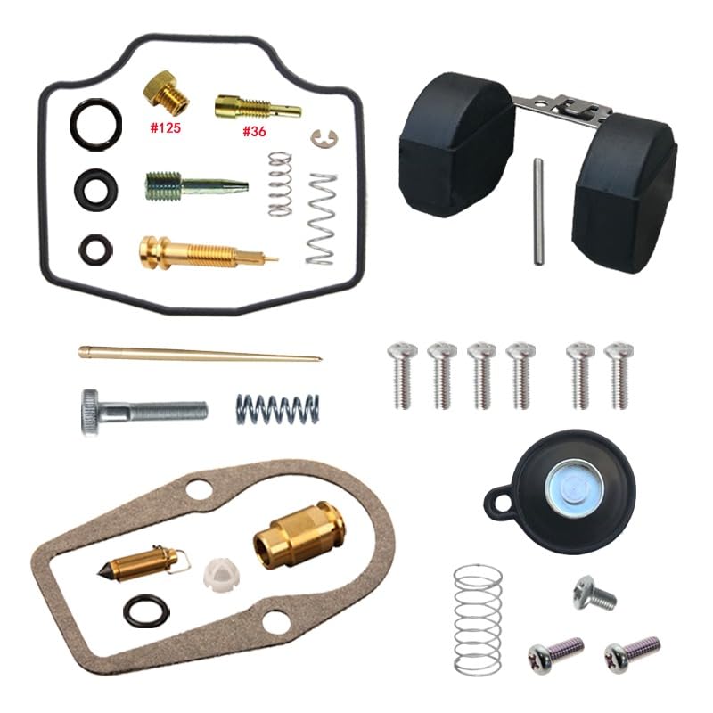 Kit carburateur TT-R230 étanche en nitrile avec gicleur principal #36