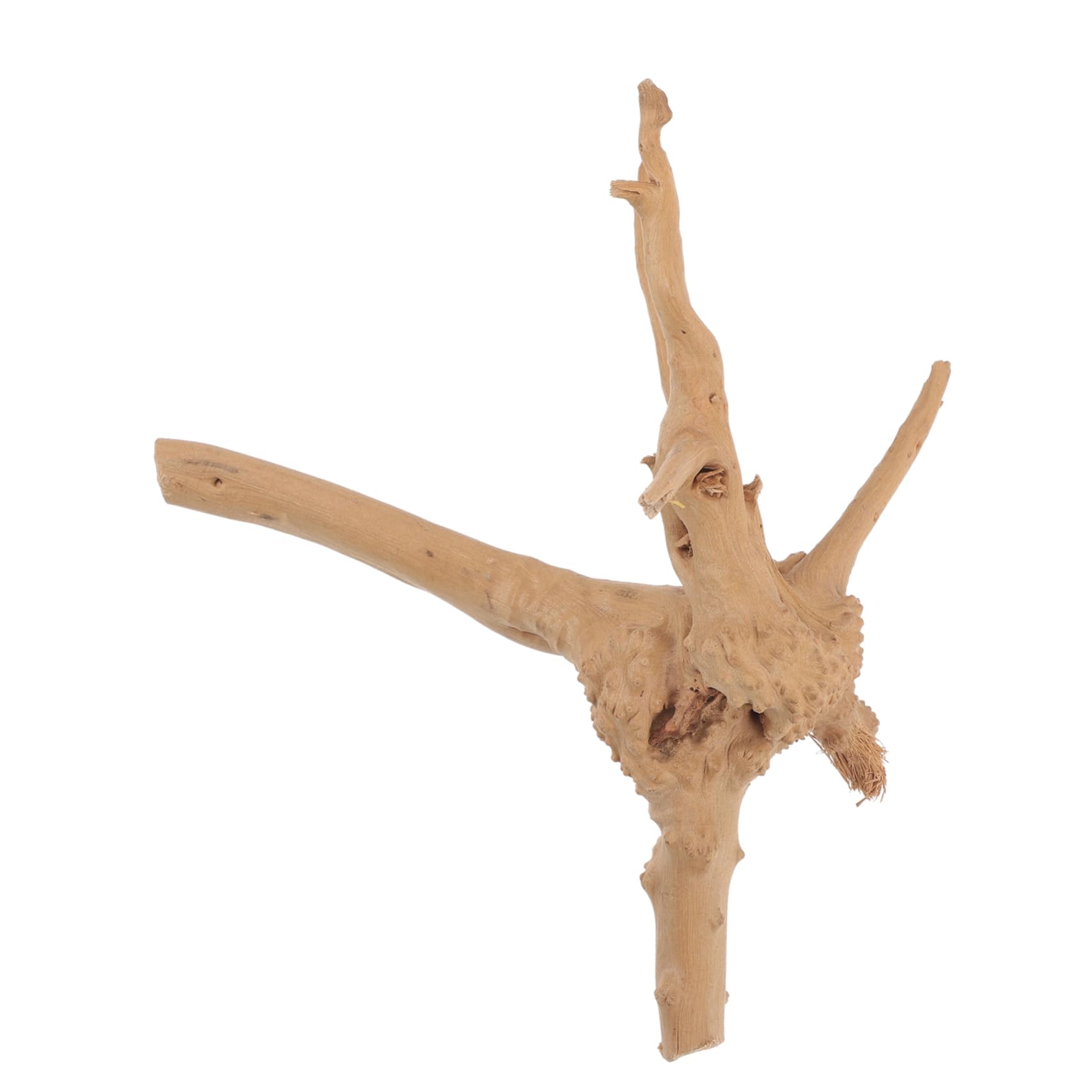 minkissy Aquarium Wood Decoration Fish Tank Decors Fish Tank Tree Root Decoration Landscape Driftwood Decor Wooden Crafts Driftwood Decors Glass Containers Driftwood Craft Moss Tree Spider