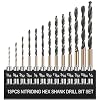 13pcs Hex Shank Drill Bit Set, Professional HSS Nitriding Twist Drill Bits, Upgrade Black and Gold Coated Drill Bit, Quick Change Design for Wood, Steel, Metal, and Plastic, 1/16IN to 1/4IN.