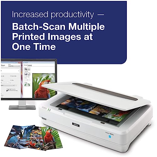 Image of Epson Expression 13000XL Archival Photo and Graphics Flatbed Scanner