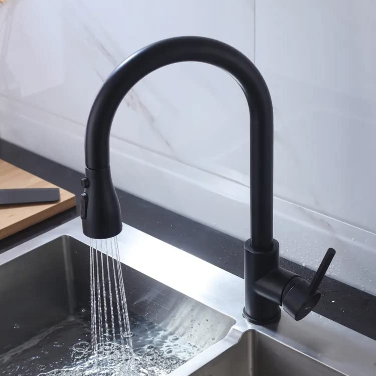 Aquieen Pull Out Kitchen Sink Mixer with Connecting Hoses (Classic Black)