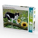 Puzzle können die visuelle Wahrnehmung verbessern, die Koordination schulen, Stress reduzieren, lösungsorientiertes Denken fördern, die Produktion des Glückshormons Dopamin, sowie die Kreativität erhöhen.