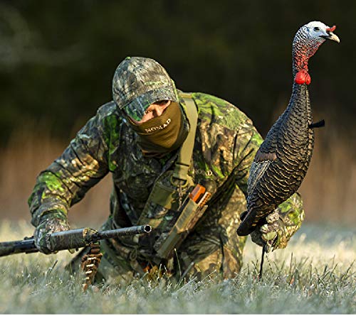 Flextone Funky Chicken Turkey Jake Decoy (Generation 2), Turkey Colors, One Size