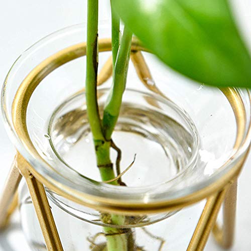 Vaas voor bloemen, plant succulente bloempotten, housewarming gift, voor vrienden en familie, Kerstmis, bruiloft, bruids douche, exclusief bloemen - Afbeelding 6