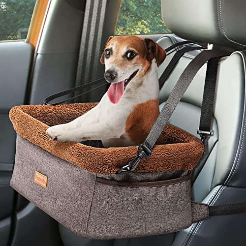 List of Top Ten Best Dog Car Booster Seat [Experts 2023