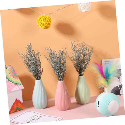 Ramo de flores secas Gypsophila para decoración miniatura 7