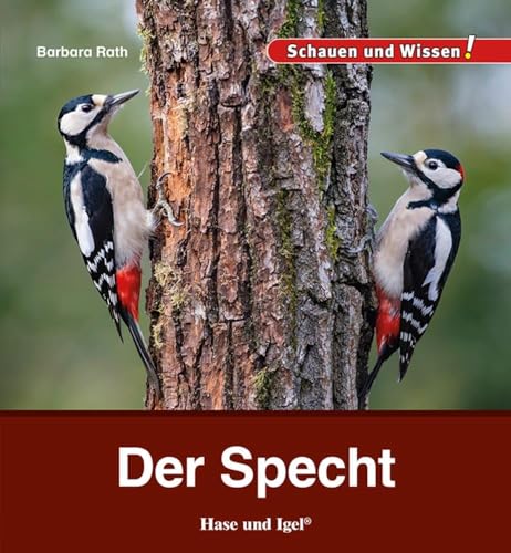 Der Specht: Schauen und Wissen!