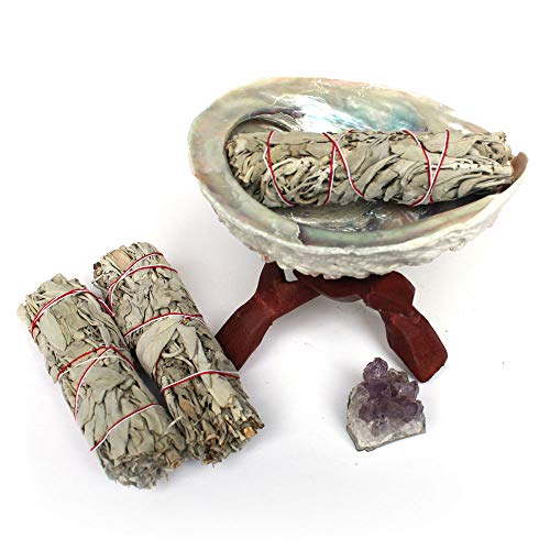 California Seashell Company 5.5-6" South African Abalone Shell Smudge Kit With 3 White Sage Bundles & Wood Stand For Chakra Balancing And Energy Clearing (5.5" - 6" Smudge Kit Only) #TOP3