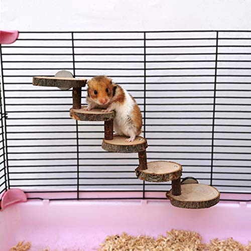 Best hamster ladder and platform for 2021 Sugiman Reviews