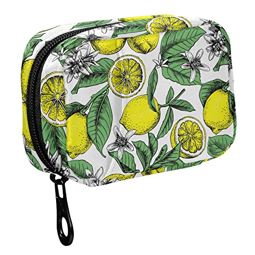 Fustylead Lemons Leaves Floral Pill Organizer Travel Portable Zipper Cloth Bag For Holding Weekly Supplements Vitamins And Fish Oils #TOP1