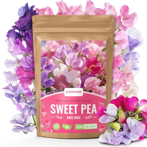 PLANTMEW Sweet Pea Seeds 200 (Knee High Mix) &ndash; Easy to Grow for Beginners, Colorful & Lightly...