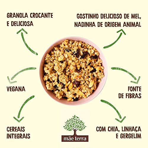 Mãe Terra Granola Frutas E Mel Sem Açúcar 800G