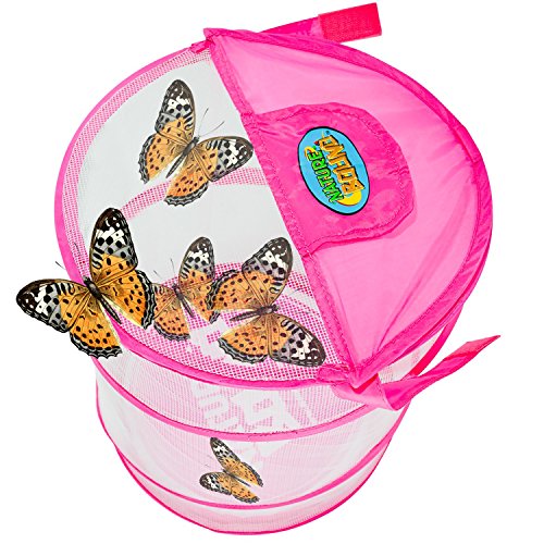 Nature Bound Butterfly Growing Habitat Kit - With Voucher To Redeem Live Caterpillars For Home Or School Use - Pink Pop-Up Cage 12-Inches Tall #TOP3