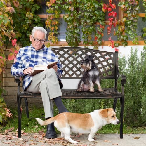 Bonnlo Banc Exterieur Jardin en Aluminium Moulé|Style Vintage avec Dossier et Assise à Mailles|Banquette,Bancs de Jardin Robuste pour Terrasse, Balcon et Patio|102 cm, Bronze Antique