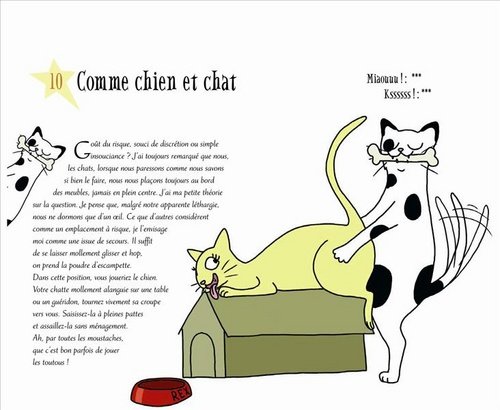 Amazon Fr Chamasutra Chat Malo Bagieu Penelope Livres