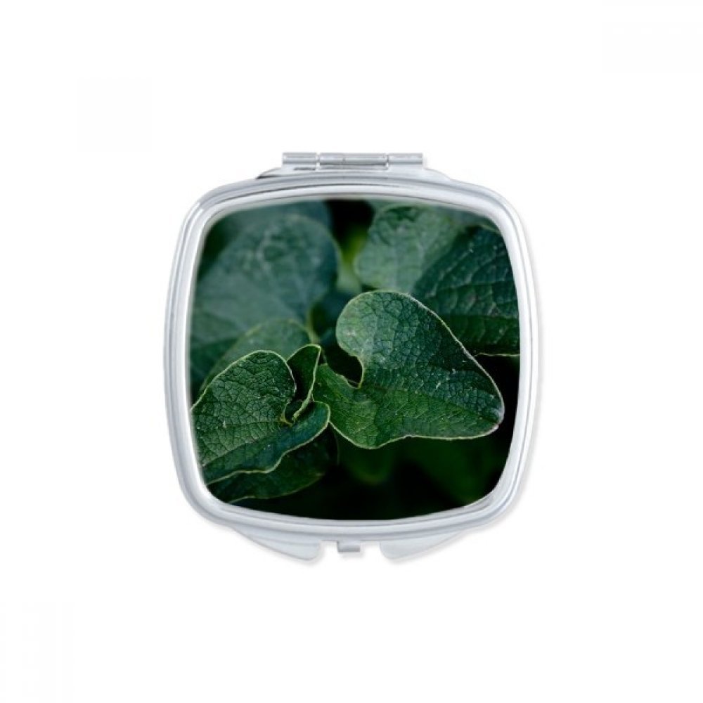 Miroir de maquillage compact carré pour corriger votre teint partout sans encombre