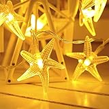 SNOMYRS Indoor String Lights 13Ft 40 LED Starfish String Lights Starfish Fairy String Lights for Garden Yard Lawn Patio Grass Wedding Christmas Decor (Warm White)