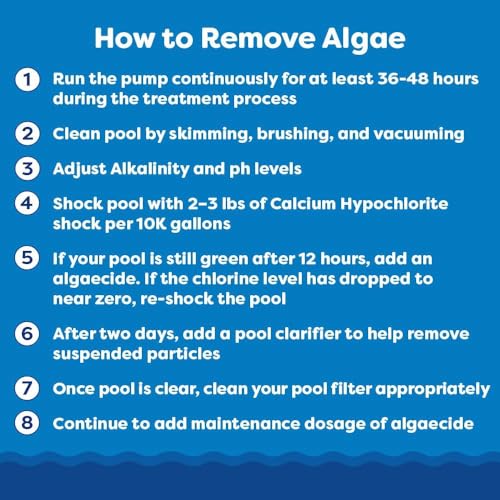 Image of In The Swim Algaecide 60 Plus for Swimming Pools - 1 Quart