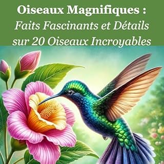 Page de couverture de Oiseaux Magnifiques