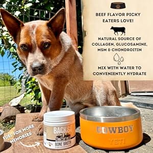 Grass-Fed Beef Bone Broth Powder for Dogs with Probiotics, Chondroitin & Glucosamine – Supports Gut Health, Joint & Immune System – Human Grade Dog Food Toppers for Picky Eaters, 6.4oz Grass Fed Beef Bone Broth Powder for Dogs with Probiotics Chondroitin Glucosamine–Supports Gut Health Joint Immune System–Human Grade Dog Food Toppers for Picky Eaters 64oz