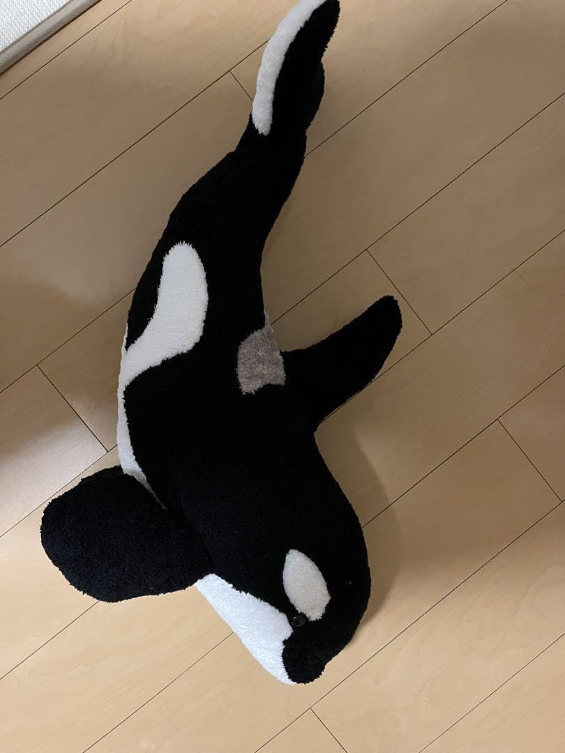 Amazon.co.jp: 特大 鴨川シーワールドホテル宿泊者限定シャチ