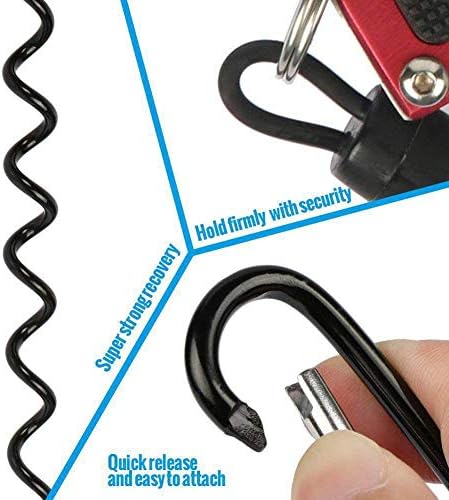 2 Pcs Stretchy Spiral Keyring with Color Carabiner Spiral Retractable Coil Spring Key Chain Theftproof Anti-Lost Stretch Cord Safety Key Ring for Keys, Wallet, Cellphone, Backpack