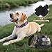 Ledeak Taktisches Hundehalsband, Verstellbares Polypropylen Nylon Hunde Halsband mit Sicherheitsschnalle, Gepolstert Weich Hundehalsbander, Tactical Dog Collar für Mittlere Große Hunde (Violett, M)