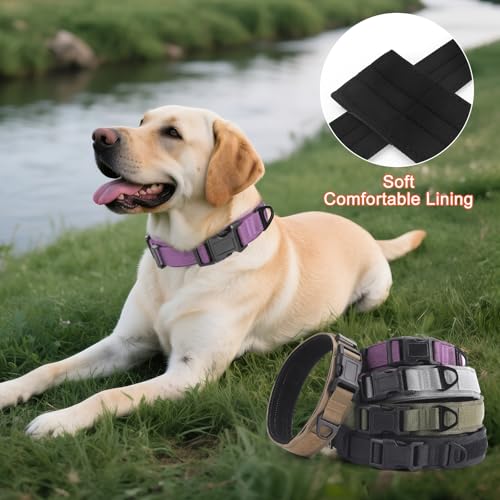 Ledeak Taktisches Hundehalsband, Verstellbares Polypropylen Nylon Hunde Halsband mit Sicherheitsschnalle, Gepolstert Weich Hundehalsbander, Tactical Dog Collar für Mittlere Große Hunde (Violett, M)