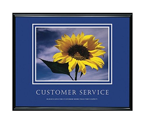 ADVANTUS Framed Motivational Print, Customer Service, 30 x 24 Inches, Black Frame (78027)