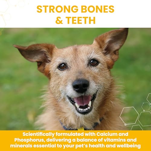 Vetzyme Stress Supplement Powder for Dogs and Cats - Balanced Multi-Mineral and Vitamin Supplement, Promotes Strong Teeth and Bones (150g) - Image 5