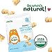 Little Bellies Organic Sweet & Salty Softcorn Toddler Snack (5 x 1.25 oz Individual Packs)