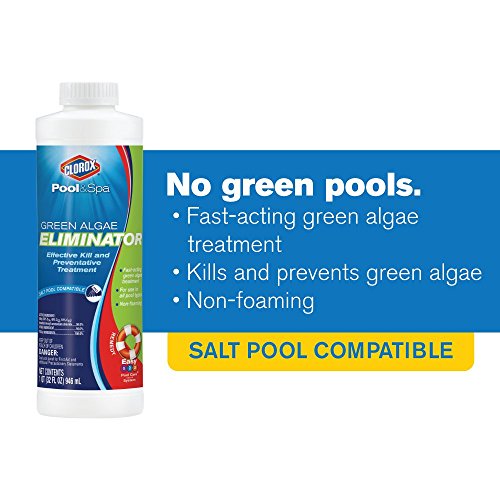 Clorox Pool & Spa 42032CLX Clorox® Pool&Spa™ Swimming Pool Algaecide thumb #5