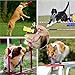 TELADESHX Dog Whistle with Lanyard Whistle to Stop Barking Neighbors Dog Provides The Perfect Bark Control and Effective Memory Training for All Dog Breeds (Pink+Blue, 2 Pcs)