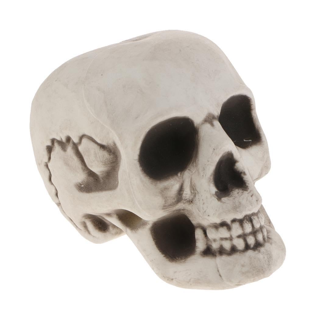 QIXCXAZ Skull Head Figurine Conversation Starter For Parties And Intriguing Home Decoration Halloween Decor Figurine Costume Parties Collectible Human Skull