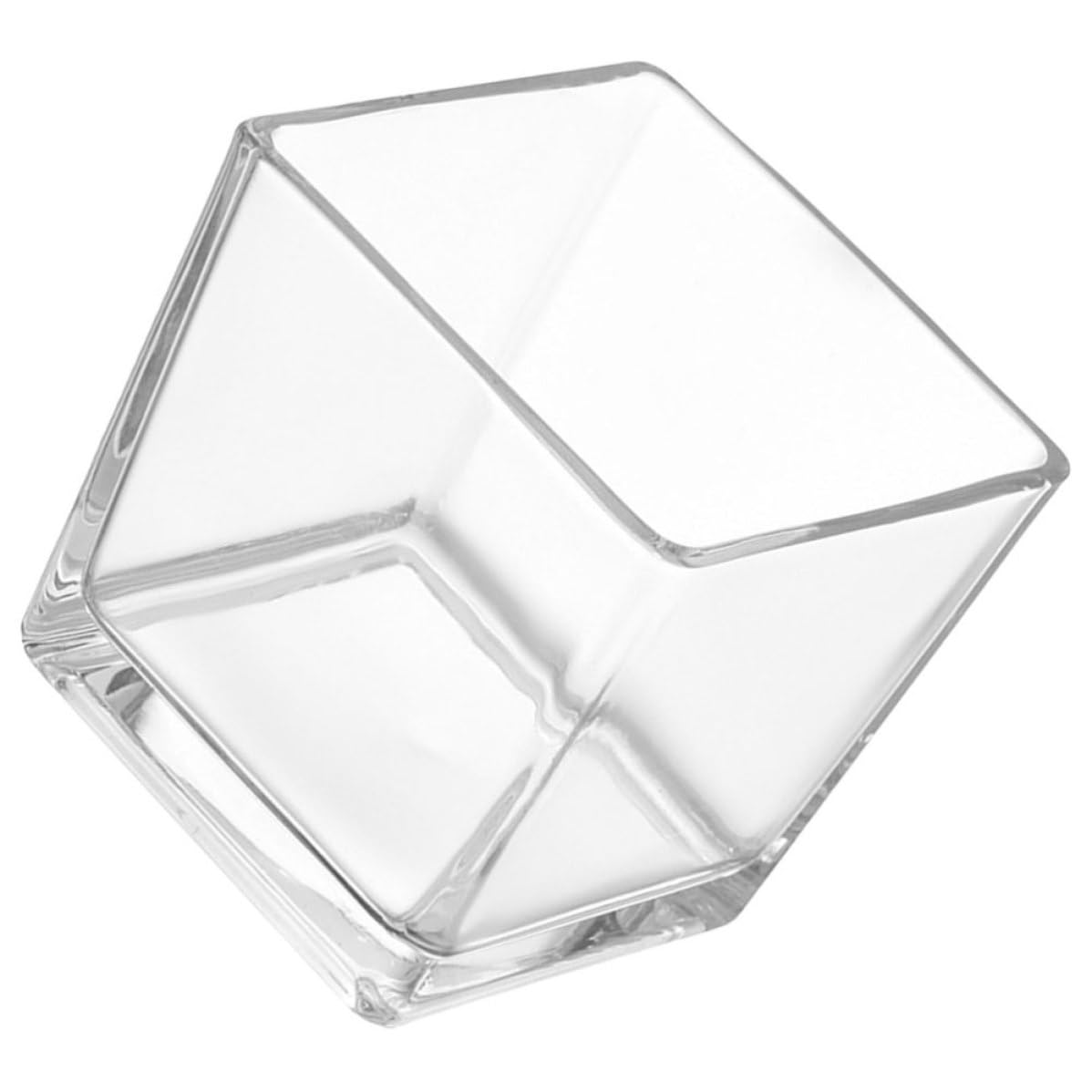 Porte-fleurs décoratif en verre transparent GALPADA cube pour plantes et décor