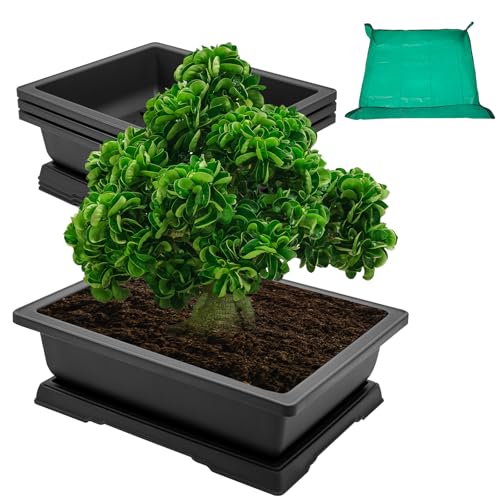 Large Deep Bonsai Pots Review