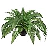 Fake Fern Potted Plant Artificial Boston Ferns in Pot 35 Leaves for Outdoors Indoor Faux Fern Bush Plant 236inch for Patio Garden Farmhouse Windowsill Office Living Room Decoration Home Decor
