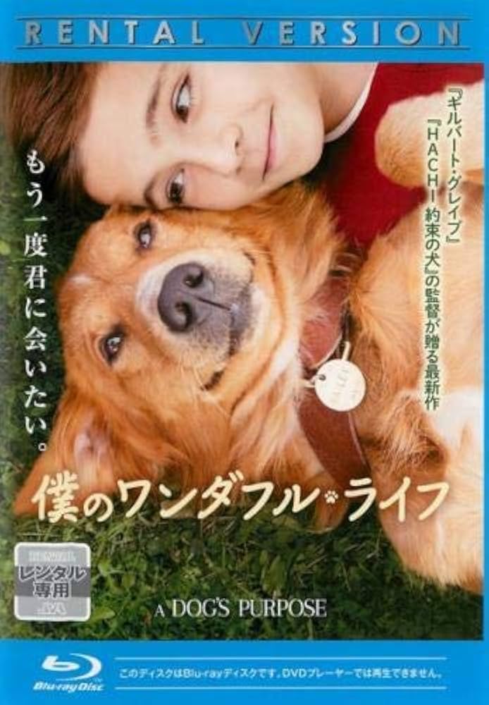 (未使用･未開封品)　僕のワンダフル・ライフ [DVD] bt0tq1u Amazon.co.jp: 僕のワンダフル・ライフ [DVD] : ジョシュ