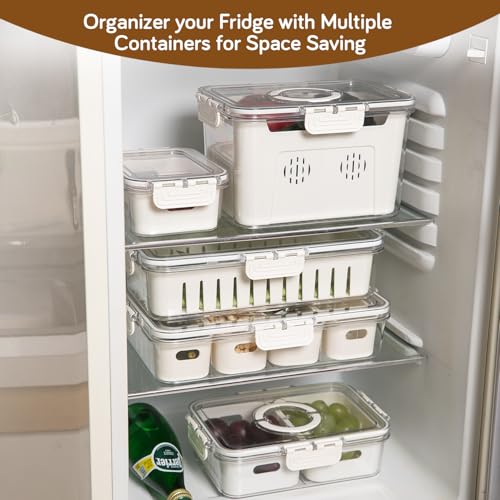 Image of HOKIPO Fridge Storage Containers - BPA Free Food Grade Plastic Organizers for Refrigerator & Freezer | Vegetable Crisper Box & Kitchen Storage Set (AR-6099)